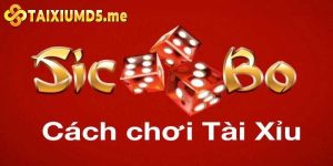 Cách Chơi Tài Xỉu Hiệu Quả Nhất Từ Chuyên Gia Lâu Năm